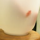 Helene wird von Hebamme Uta gebadet. Gluck, gluck!