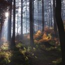 Herbst im ThÃ¼ringer Wald.
