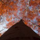 Herbst im ThÃ¼ringer Wald.