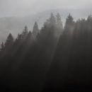 Herbst im ThÃ¼ringer Wald.