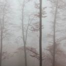 Herbst im ThÃ¼ringer Wald.