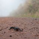 Herbst im ThÃ¼ringer Wald.