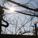 Urlaub in Klein Vielen bei Neustrelitz im MÃ¤rz 2012.