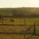 Urlaub in Klein Vielen bei Neustrelitz im MÃ¤rz 2012.