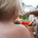 Berlin-Mahsdorf. Im Kellner-HÃ¤uschen mit vielen Freunden. Anfang Juli 2012.