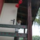 Berlin-Mahsdorf. Im Kellner-HÃ¤uschen mit vielen Freunden. Anfang Juli 2012.