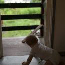 Berlin-Mahsdorf. Im Kellner-HÃ¤uschen mit vielen Freunden. Anfang Juli 2012.